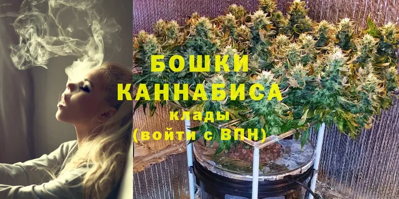 Бошки Шишки марихуана  Николаевск 